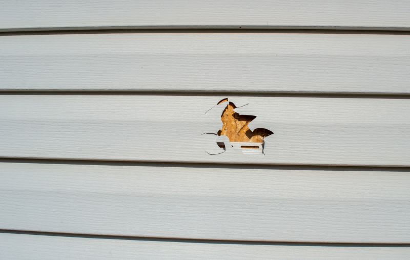Inspecting Vinyl Siding Damage